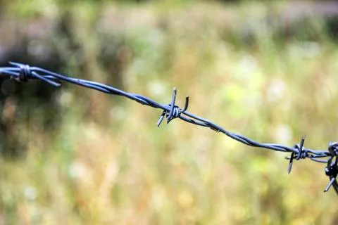 Barbed wire Stock Photos