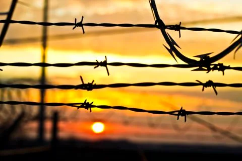 Barbed Wire 写真素材