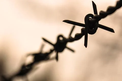 Barbed Wire Stock Photos