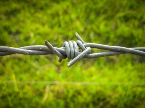 Barbed Wire Stock Photos