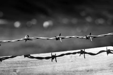 Barbed wire Stock Photos