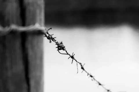 Barbed Wire Stock Photos