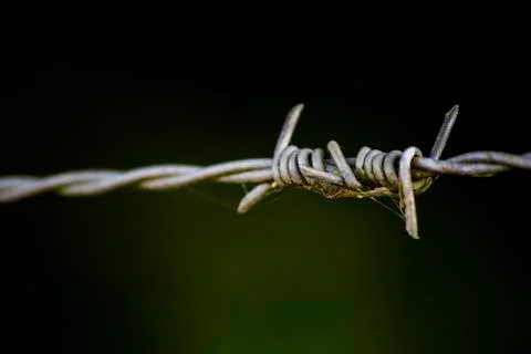 Barbed Wire Stock Photos
