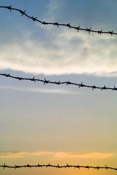 Barbed wire Stock Photos