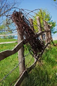 Barbed wire Free Stock Photos
