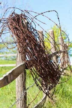 Barbed wire Foto stock gratuite