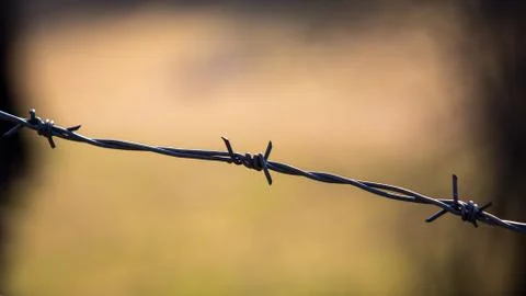 Barbed wire Stock Photos