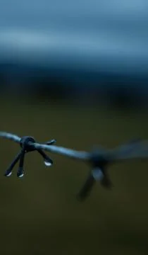 Barbed wire Stock Photos