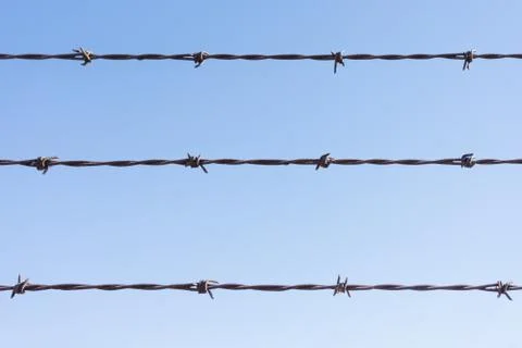 Barbed wire Stock Photos