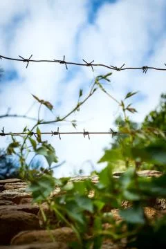 Barbed wire Stock Photos