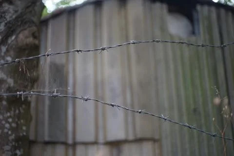 Barbed wire Stock Photos
