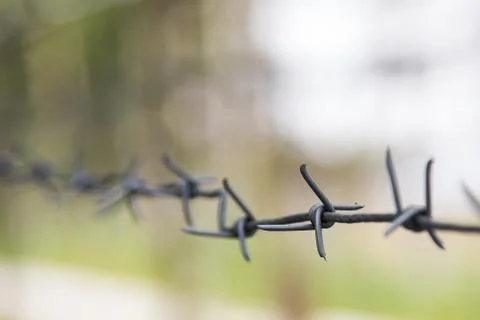 Barbed wire Stock Photos