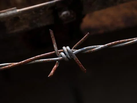 Barbed Wire Stock Photos