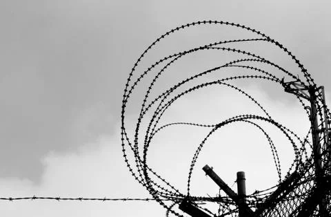 Barbed wire Stock Photos