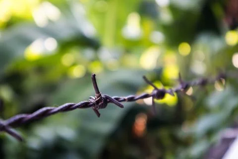 Barbed wire Stock Photos