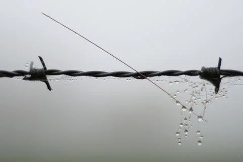 Barbed wire Stock Photos