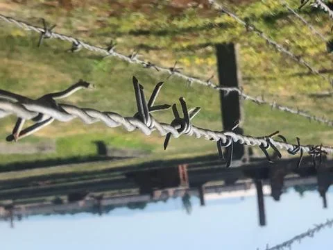 Barbed wire Stock Photos