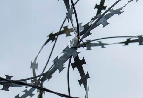 Barbed wire. Stock Photos