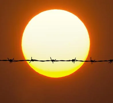 Barbed wire Stock Photos
