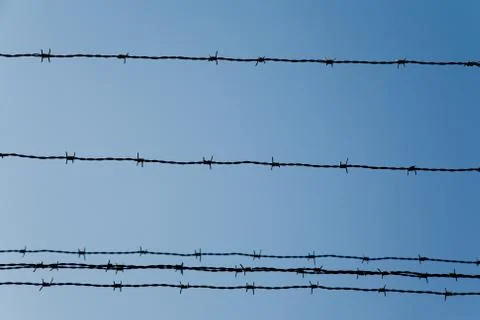 Barbed wire Stock Photos
