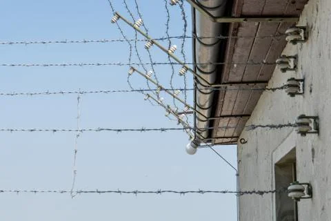 Barbed wire Stock Photos