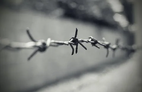 Barbed wire Stock Photos