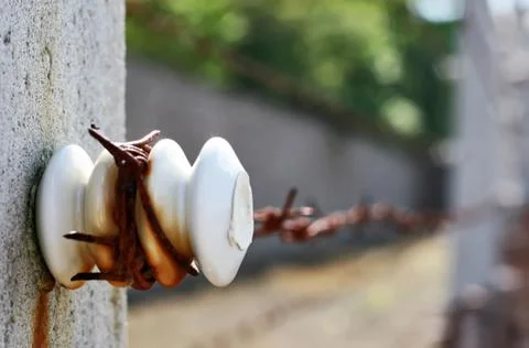 Barbed wire Foto stock