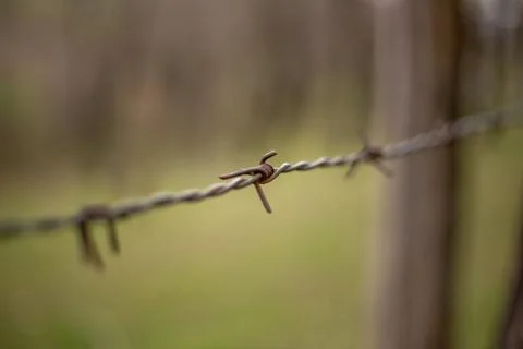 Barbed wire Stock Photos