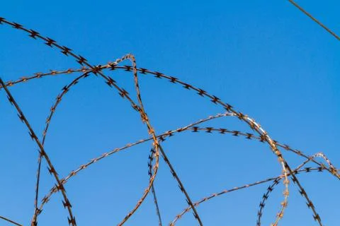 Barbed Wire Stock Photos