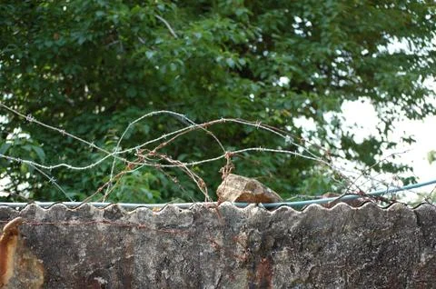 Barbed wire Stock Photos