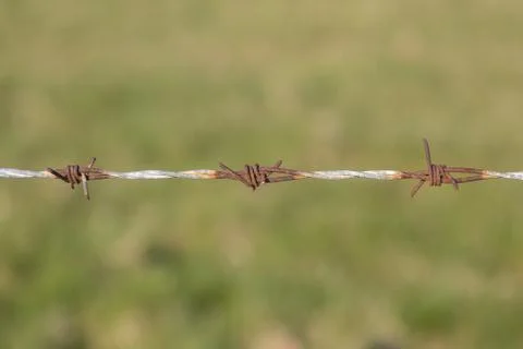 Barbed Wire Foto stock