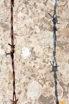 Barbed Wire Stock Photos