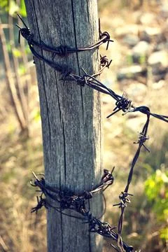 Barbed wire Stock Photos
