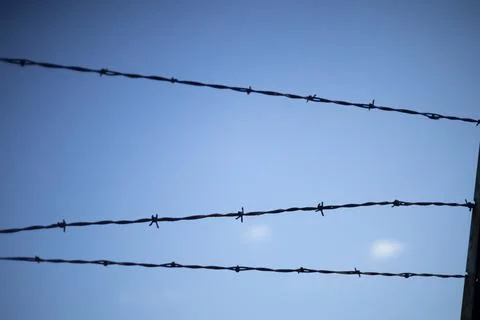 Barbed Wire Stock Photos