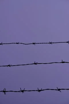 Barbed wire Stock Photos