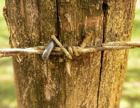 Barbed wire Stock Photos