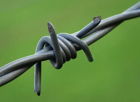 Barbed Wire Stock Photos