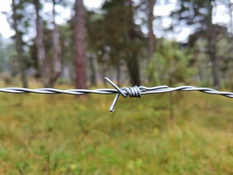 Barbed wire. Stock Photos