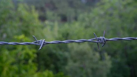 Barbed wire. Stock Photos