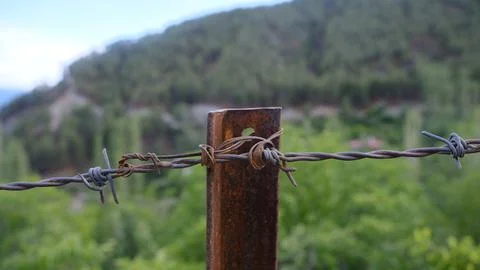 Barbed wire. Stock Photos