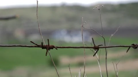 Barbed wire Stock Photos