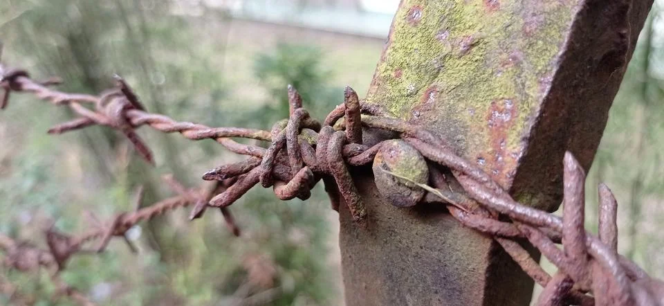Barbed Wire Stock Photos