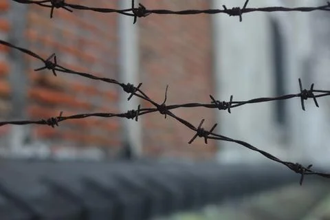 Barbed Wire Stock Photos
