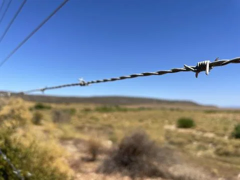 Barbed wire Stock Photos