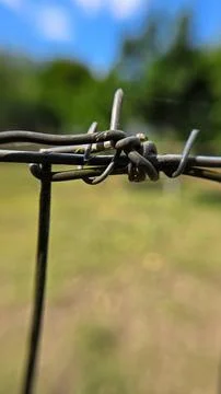 Barbed wire Stock Photos