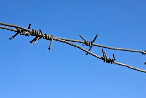 Barbed wire Stock Photos