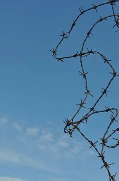 Barbed wire Stock-Fotos