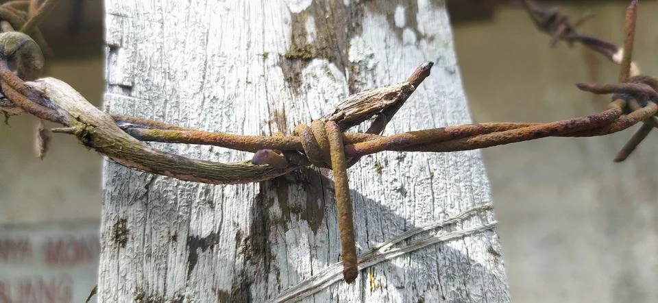 Barbed wire Stock Photos