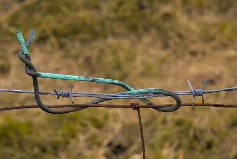 Barbed wire Stock Photos