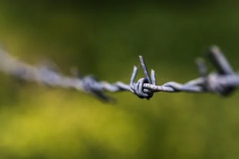 Barbed wire Stock Photos